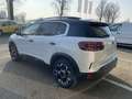 Citroen C5 Aircross BlueHDi 130 S&S EAT8 Max Bianco - thumbnail 3
