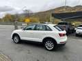 Audi Q3 Q3 2.0 tdi Sport 4Edition quattro 150cv Bianco - thumbnail 3