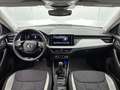Skoda Kamiq 1.0 TSI Business Edition | ADAPTIEF CRUISECONTROL Wit - thumbnail 20