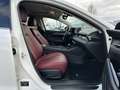 Mazda 6 6 2.5 194 HOMURA/BOSE/SUNROOF/4xSITZHZG Weiß - thumbnail 11