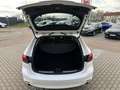 Mazda 6 6 2.5 194 HOMURA/BOSE/SUNROOF/4xSITZHZG Weiß - thumbnail 12