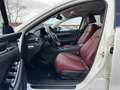 Mazda 6 6 2.5 194 HOMURA/BOSE/SUNROOF/4xSITZHZG Weiß - thumbnail 14