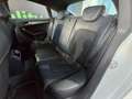 Audi A5 Sportback 3.0TDI S line ed. Q. S-T 245 Bianco - thumbnail 9