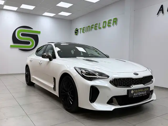 Kia Stinger 2.2 CRDi GT-Line / PANORAMA / H&K / 360°