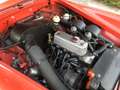 MG Midget Mk3 1300 cc Guida SX / LHD - RESTAURATA Rojo - thumbnail 15