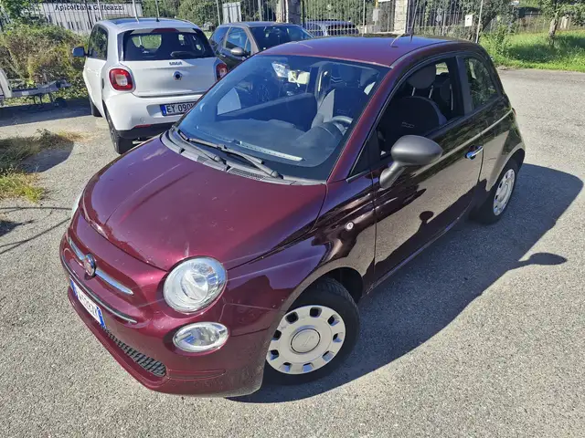 2019 Fiat 500 in Violet for sale