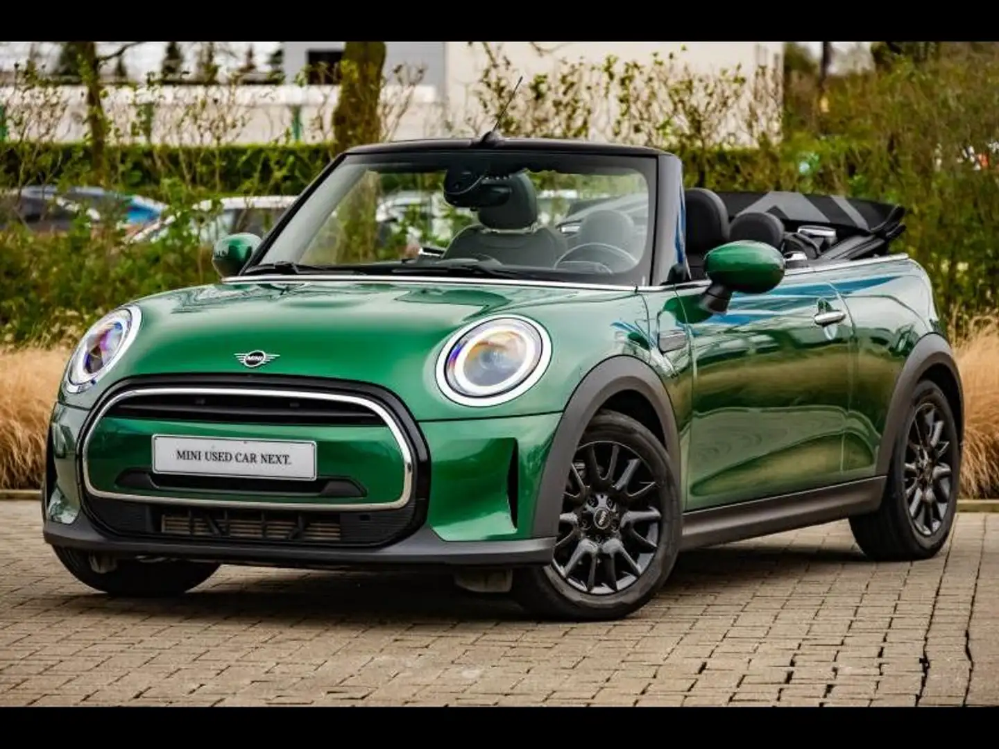 MINI Cooper Cabrio COOPER CABRIO - BritishRacingGreen/Leder/Stuurver Verde - 1