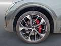 Audi SQ5 Sportback TDI MATRIX ACC Optik-schw.+ 21" Grau - thumbnail 9