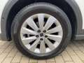 SEAT Arona 1.0 TGI Style Vision Plus Full LED SHZ GRA Bianco - thumbnail 12