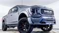 Ford F 150 Shelby Supercharged Сірий - thumbnail 13