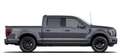 Ford F 150 F-150 Lariat Black Edition MY25 5.0l V8 *3J. GARAN Gris - thumbnail 4