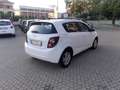 Chevrolet Aveo Aveo 2011 1.3d LT 75cv 5p Bianco - thumbnail 6