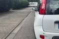 Fiat New Panda Panda 1.0 FireFly S&S Hybrid Wit - thumbnail 10