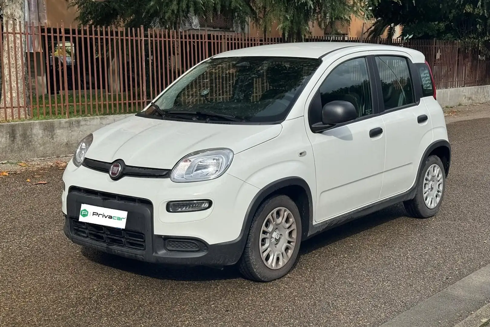 Fiat New Panda Panda 1.0 FireFly S&S Hybrid Wit - 1