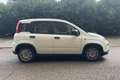 Fiat New Panda Panda 1.0 FireFly S&S Hybrid Wit - thumbnail 4
