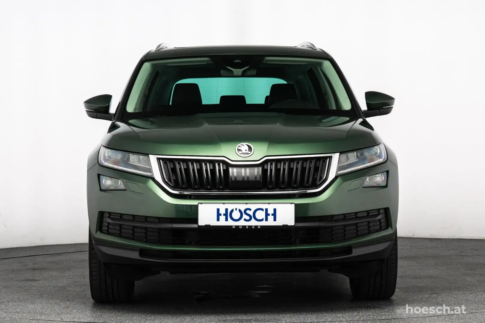 Skoda Kodiaq 2.0 TDI Style Aut. 4x4 AHK 19" PANO DCC ALCANTARA Verde - 2