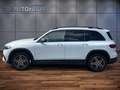 Mercedes-Benz EQB 300 EQB BEV 300 AMG Line 4MATIC Білий - thumbnail 7