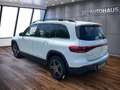 Mercedes-Benz EQB 300 EQB BEV 300 AMG Line 4MATIC Weiß - thumbnail 6