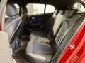 BMW 116 116d 5p. Msport Rouge - thumbnail 23