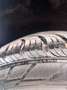 Volkswagen Touareg 3.0 TDI 262 CV,Terrain Tech Executive, PERMUTABILE Gris - thumbnail 22