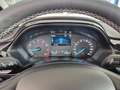 Ford Fiesta 1.0 Flexifuel 95ch Titanium Business 5p Weiß - thumbnail 18
