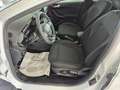 Ford Fiesta 1.0 Flexifuel 95ch Titanium Business 5p Weiß - thumbnail 14