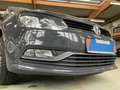 Volkswagen Polo 1.0 60 CV 5p. All-Star Neopatentati 15 BlueMotion Gris - thumbnail 5