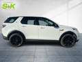 Land Rover Discovery Sport P300e Hybrid AWD*LEDER+360° KAMERA+CARPLAY+SHZ* Weiß - thumbnail 4
