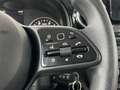 Mercedes-Benz Citan Tourer 110CDI Base Plateado - thumbnail 20