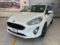 Ford Fiesta Connect  1.1 75cv Connect S&S my20.75 rif.GE133 Bianco - thumbnail 9