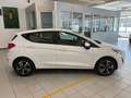 Ford Fiesta Connect  1.1 75cv Connect S&S my20.75 rif.GE133 Bianco - thumbnail 4