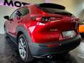 Mazda CX-30 Selection 2WD Rot - thumbnail 12