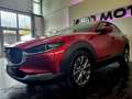 Mazda CX-30 Selection 2WD Rot - thumbnail 2