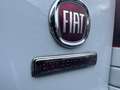 Fiat Talento Kasten L1H1 1,2t Basis*EURO 6*KLIMA* Blanc - thumbnail 9