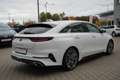 Kia ProCeed / pro_cee'd ProCeed 1.6 T-GDI GT LED Android Apple Kamera Weiß - thumbnail 6
