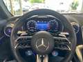 Mercedes-Benz SL 43 AMG Premium Dynamic+ HAL Burm Distro HeadU Šedá - thumbnail 19