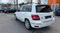Mercedes-Benz GLK 300 4Matic/Navi/Leder/Sport-Paket Exterieur Weiß - thumbnail 3