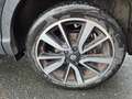 Nissan Qashqai Qashqai 1.6 dCi FAP - 130 Euro 6  II 2014 Tekna PHASE 1 Noir - thumbnail 36