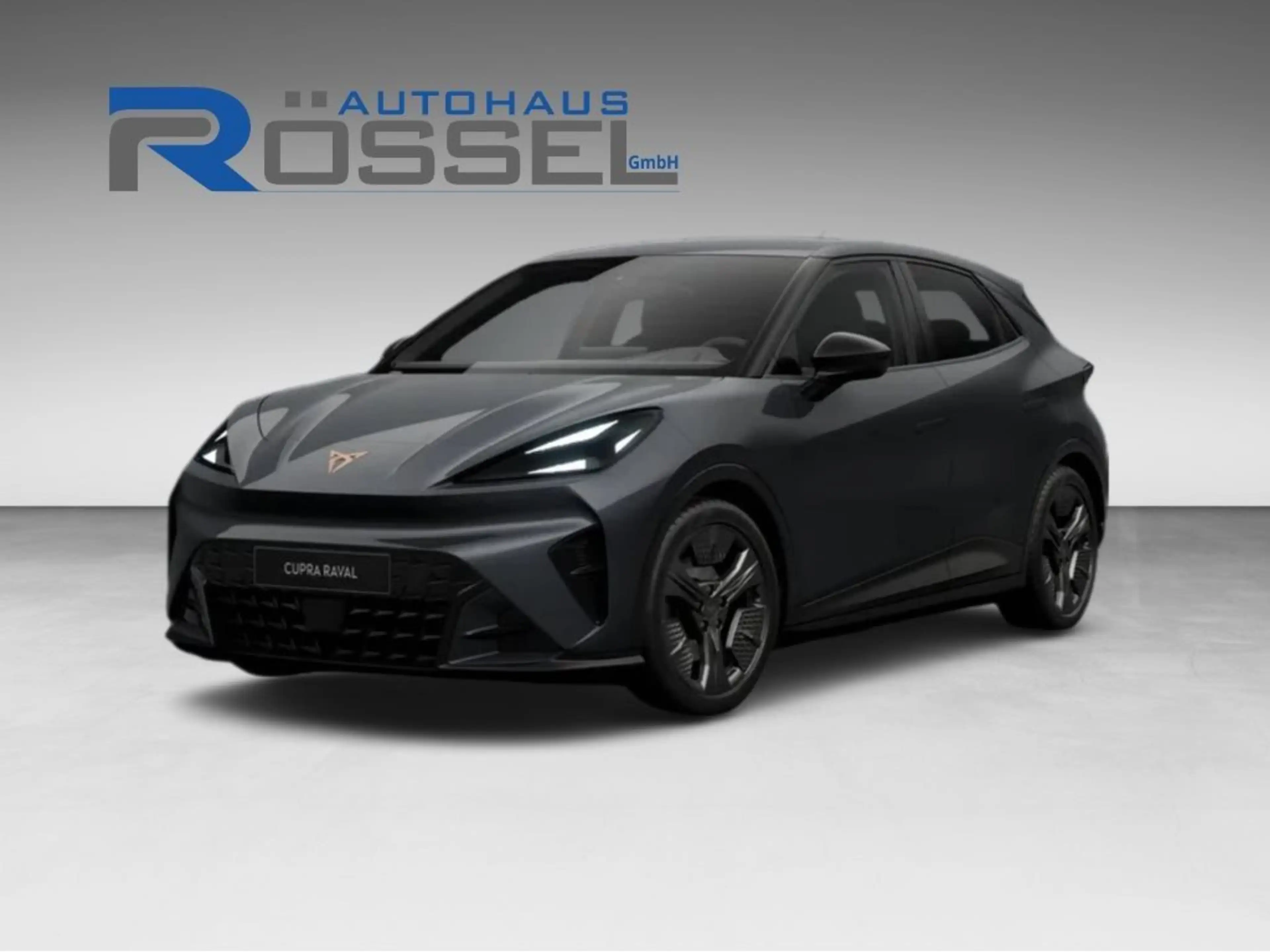 CUPRA Raval Plus Edition Navi/Rückfahrkamra/Alufelgen 18 Zoll