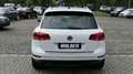 Volkswagen Touareg Terrain Tech StylePaket AHK/R-Cam/8xAlu Weiß - thumbnail 4