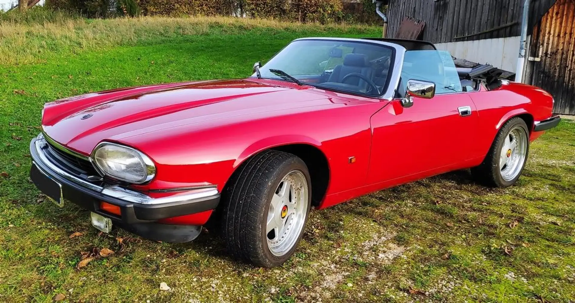 Jaguar XJS Rot - 1