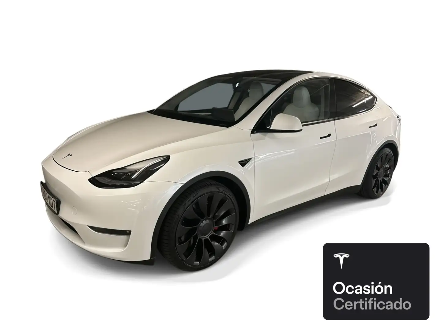 Tesla Model Y Performance Wit - 1