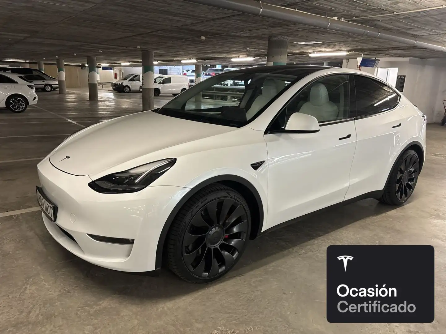 Tesla Model Y Performance Wit - 2