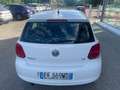 Volkswagen Polo 1.4 5 porte Highline Bianco - thumbnail 8