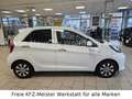 Kia Picanto 1.0 Dream Team 1.Hd. SHZ LHZ Klimaautom. Weiß - thumbnail 5