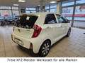 Kia Picanto 1.0 Dream Team 1.Hd. SHZ LHZ Klimaautom. Weiß - thumbnail 7