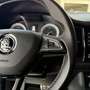 Skoda Kodiaq 2,0 TDI SCR 4x4 Sportline DSG Grau - thumbnail 22