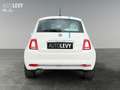 Fiat 500 1.0 DolceVita +Klima+Carplay+NotbremAss+ Bianco - thumbnail 5