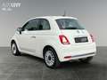 Fiat 500 1.0 DolceVita +Klima+Carplay+NotbremAss+ Bianco - thumbnail 4