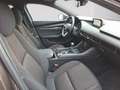 Mazda 3 SKYACTIV 2.0 Selection Matrix Kamera HuD Grau - thumbnail 9